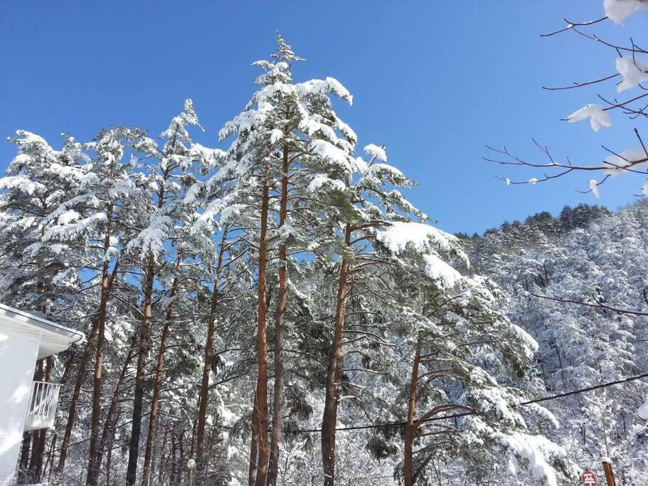 Blue Sky Milky Way Pension Ян'ян Екстер'єр фото